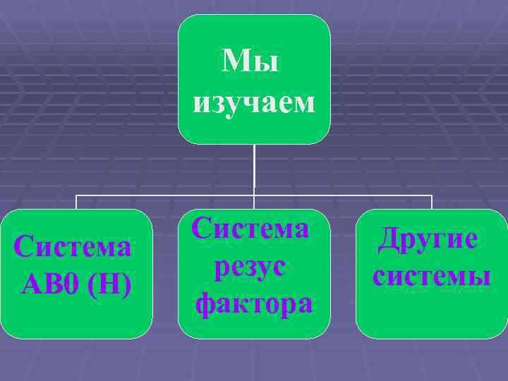 Мы изучаем Система АВ 0 (Н) Система резус фактора Другие системы 