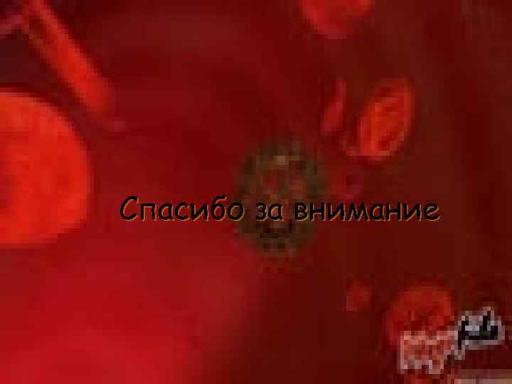 Спасибо за внимание 