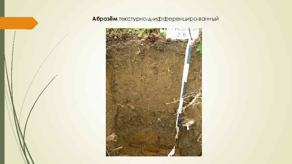  Абразём текстурно д ифференциро ванный 