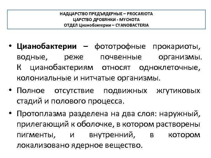 Надцарство. Надцарство прокариоты царство дробянки. Царство дробянки общая характеристика. Царство дробянки классификация. Царство дробянки отдел цианобактерии.