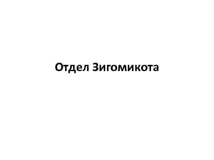 Отдел Зигомикота 