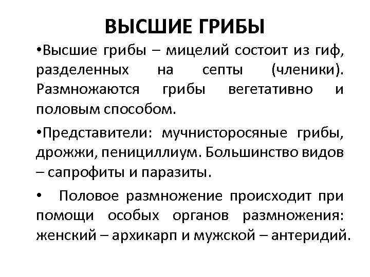 ВЫСШИЕ ГРИБЫ • Высшие грибы – мицелий состоит из гиф, разделенных на септы (членики).