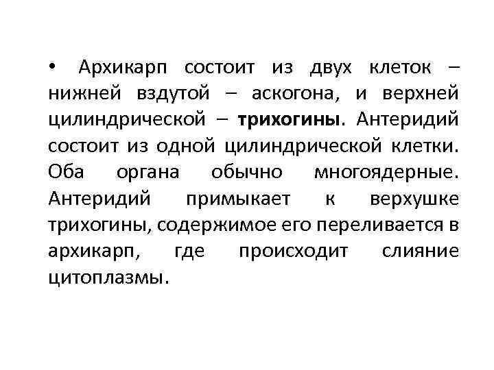  • Архикарп состоит из двух клеток – нижней вздутой – аскогона, и верхней