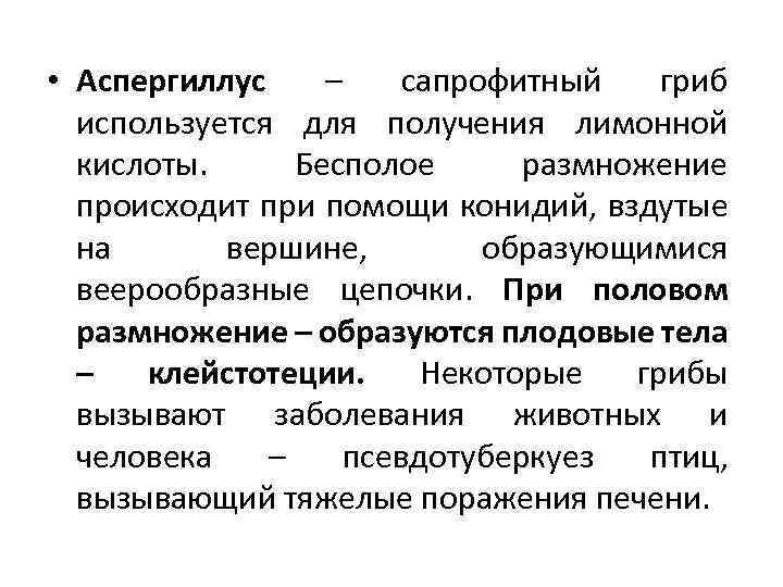  • Аспергиллус – сапрофитный гриб используется для получения лимонной кислоты. Бесполое размножение происходит