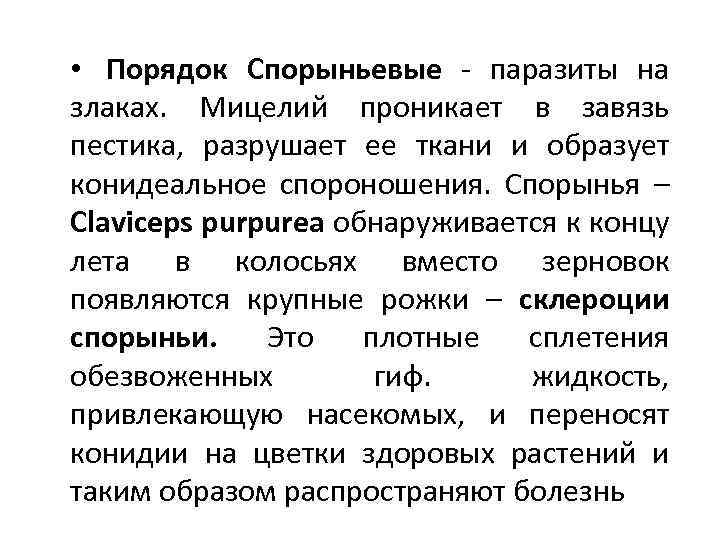  • Порядок Спорыньевые паразиты на злаках. Мицелий проникает в завязь пестика, разрушает ее