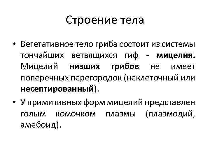 Строение тела • Вегетативное тело гриба состоит из системы тончайших ветвящихся гиф мицелия. Мицелий
