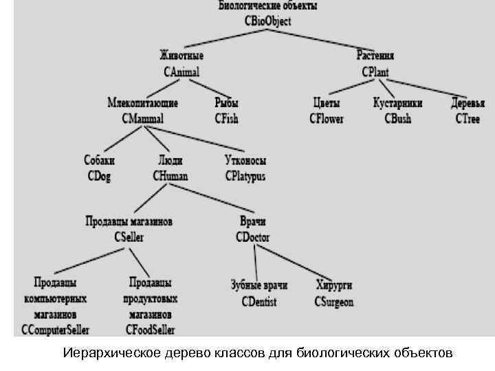 Информационную модель родословной часто представляют в виде таблицы дерева сети плана