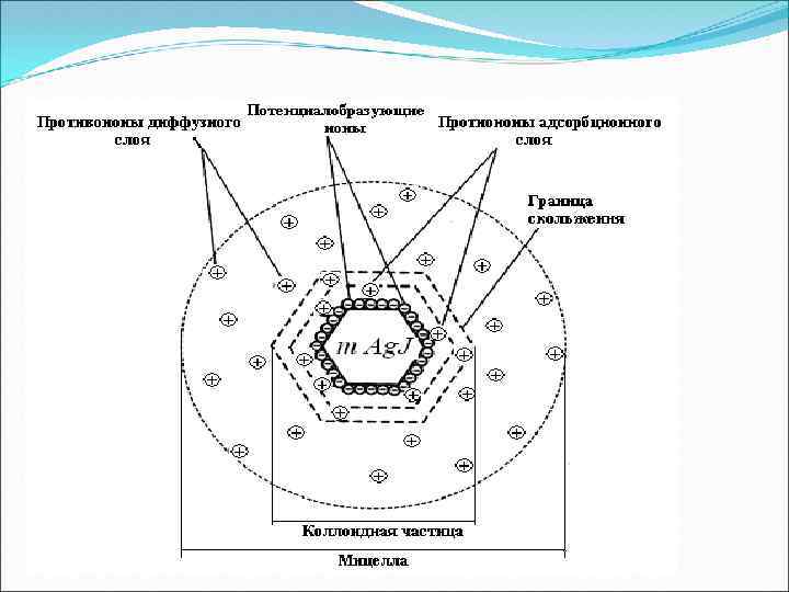 Схема строения мицелл