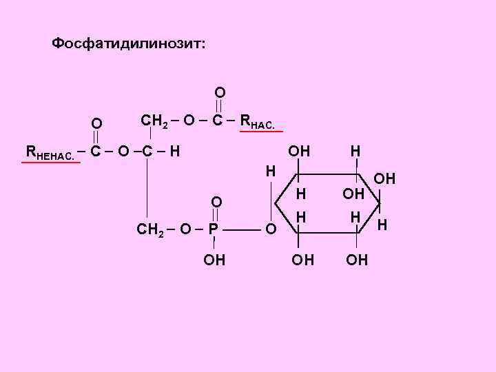 Фосфатидилинозит: О О СН 2 О C RНАС. RНЕНАС. С О С Н ОН