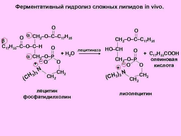 Ферментативный гидролиз сложных липидов in vivo. О О СН О С С Н 2