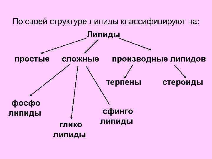 Структурными липидами являются