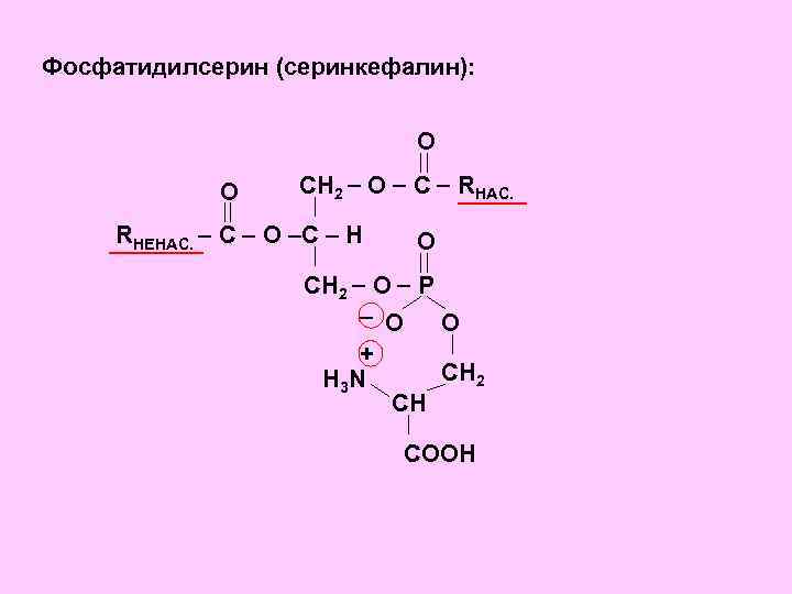 Когнивия фосфатидилсерин