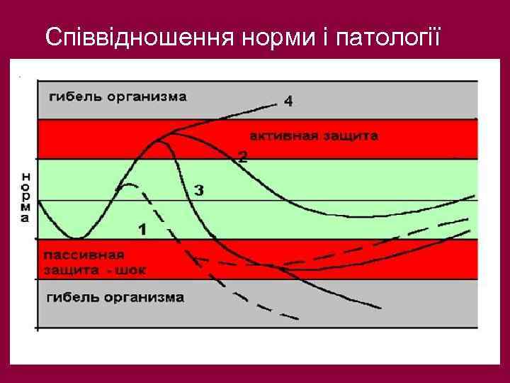 Cпіввідношення норми і патології 
