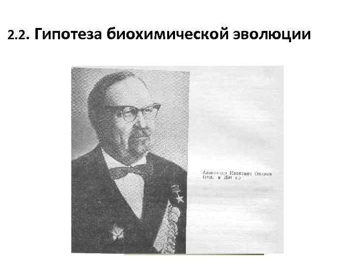 2. 2. Гипотеза биохимической эволюции 