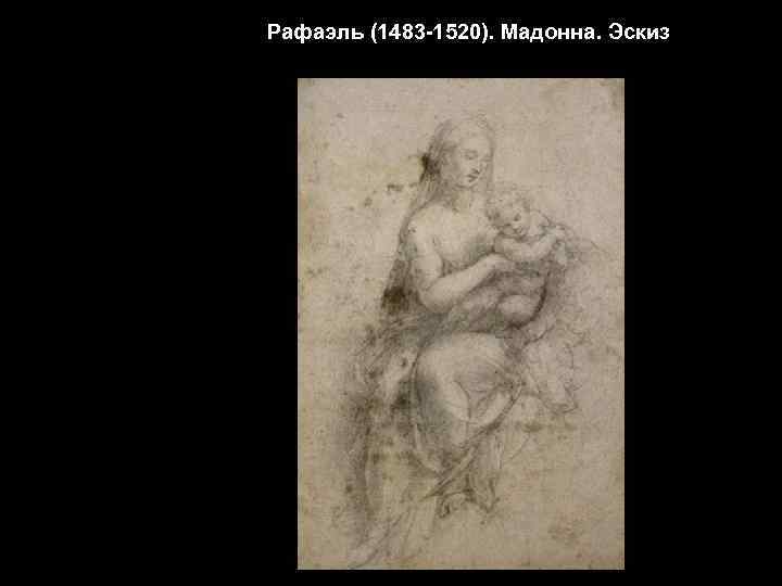 Рафаэль (1483 -1520). Мадонна. Эскиз 