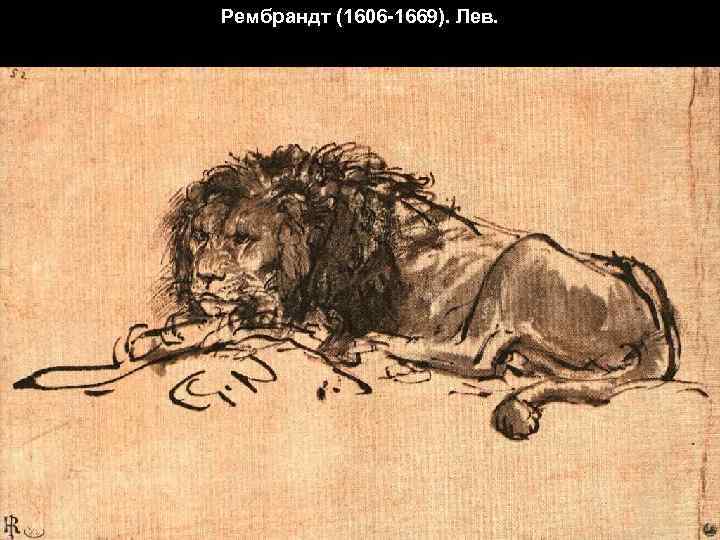 Рембрандт (1606 -1669). Лев. 