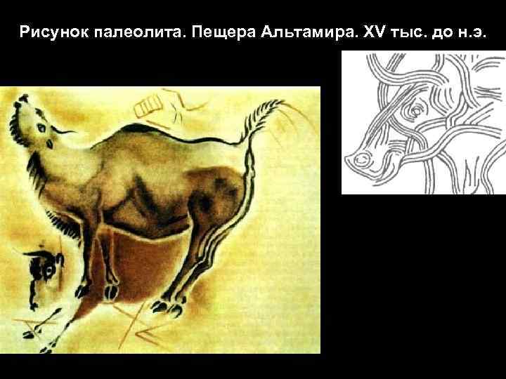 Рисунок палеолита. Пещера Альтамира. XV тыс. до н. э. 