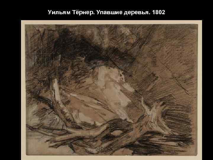 Уильям Тёрнер. Упавшие деревья. 1802 