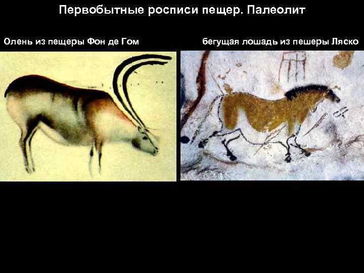Первобытные росписи пещер. Палеолит Олень из пещеры Фон де Гом бегущая лошадь из пешеры
