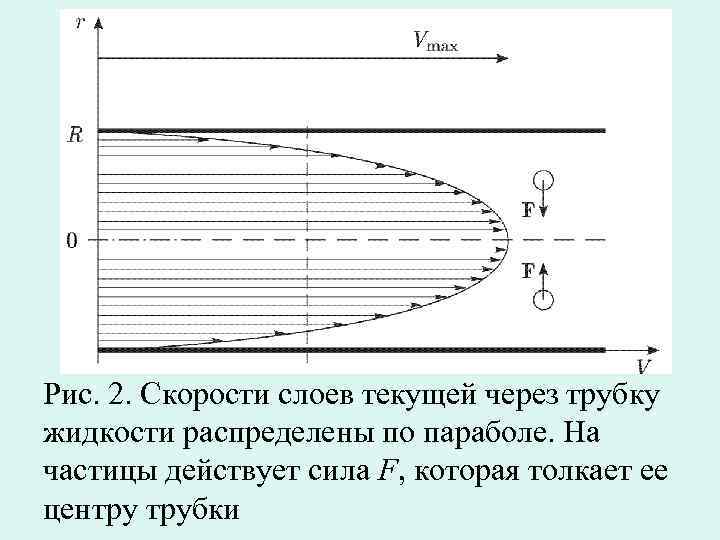 Рис. 2. Скорости слоев текущей через трубку жидкости распределены по параболе. На частицы действует