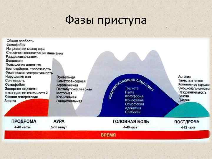 Фазы приступа 