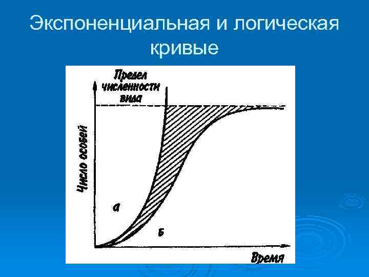 Экспоненциальная и логическая кривые 