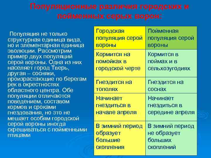 Популяционные различия городских и пойменных серых ворон: Популяция не только структурная единица вида, но