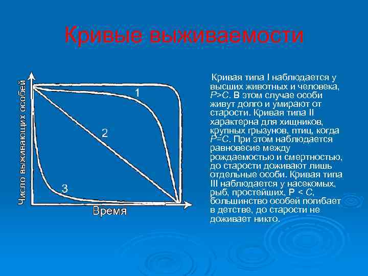 Кривые выживаемости Кривая типа I наблюдается у высших животных и человека, Р>С. В этом