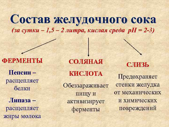 Состав желудочного сока (за сутки – 1, 5 – 2 литра, кислая среда p.