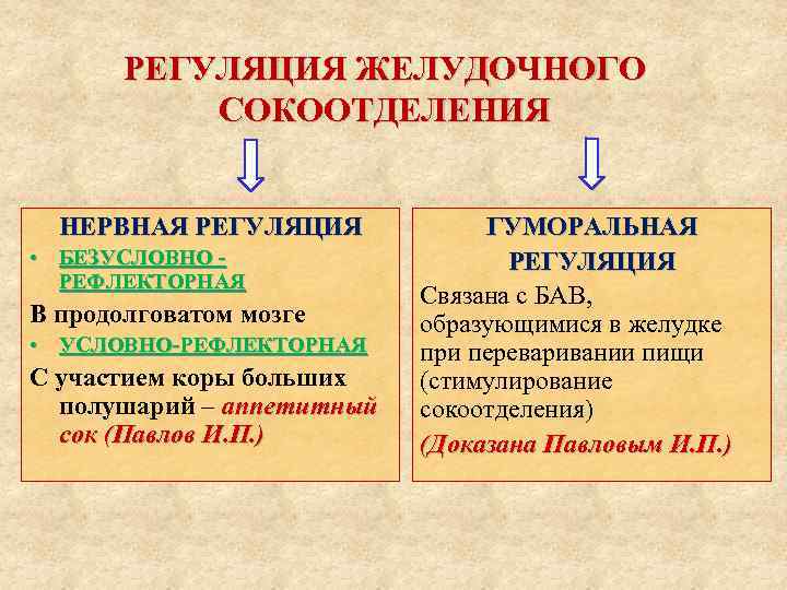 РЕГУЛЯЦИЯ ЖЕЛУДОЧНОГО СОКООТДЕЛЕНИЯ НЕРВНАЯ РЕГУЛЯЦИЯ • БЕЗУСЛОВНО РЕФЛЕКТОРНАЯ В продолговатом мозге • УСЛОВНО-РЕФЛЕКТОРНАЯ С