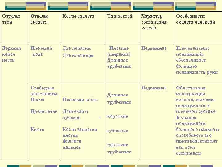 Отделы тела Отделы скелета Кости скелета Тип костей Характер соединения костей Особенности скелета человека