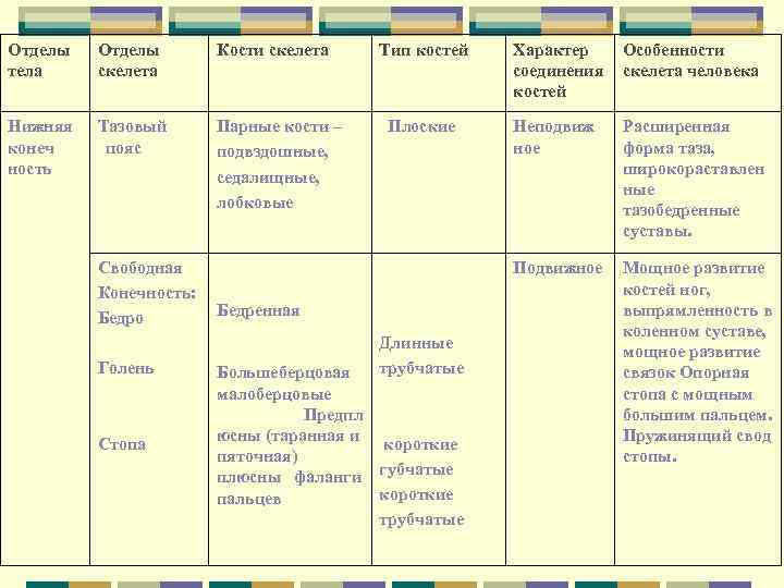 Отделы тела Отделы скелета Кости скелета Нижняя конеч ность Тазовый пояс Парные кости –