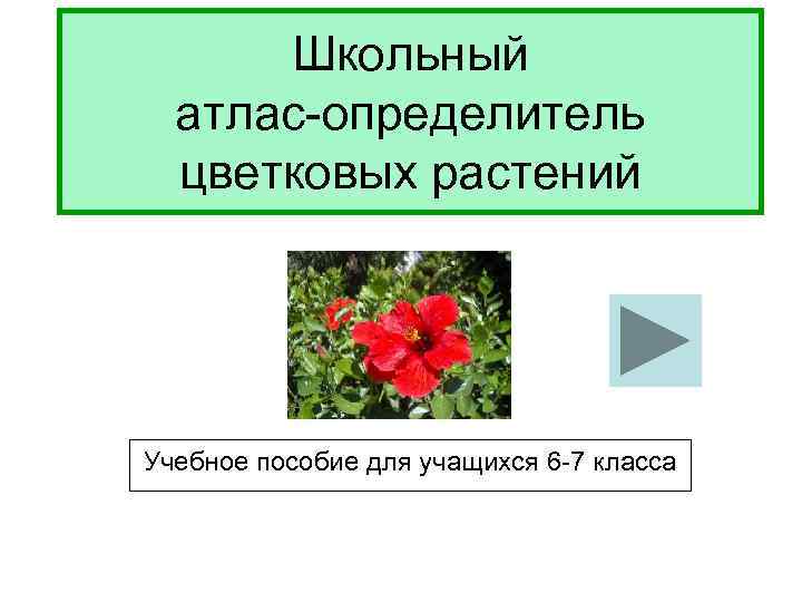 Определитель цветковых растений онлайн по фото бесплатно