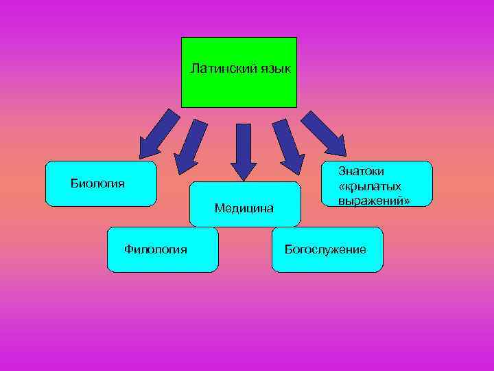 Латинский язык Биология Медицина Филология Знатоки «крылатых выражений» Богослужение 