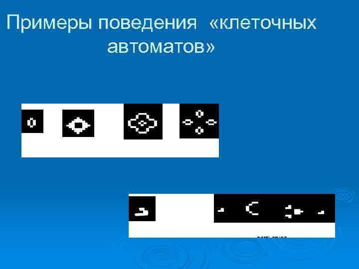 Примеры поведения «клеточных автоматов» 