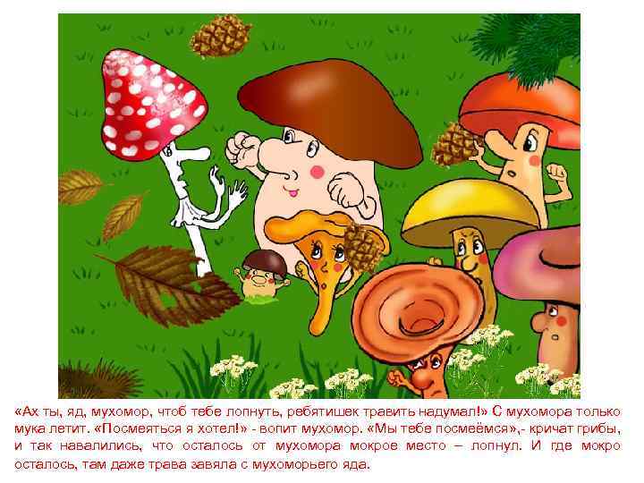  «Ах ты, яд, мухомор, чтоб тебе лопнуть, ребятишек травить надумал!» С мухомора только