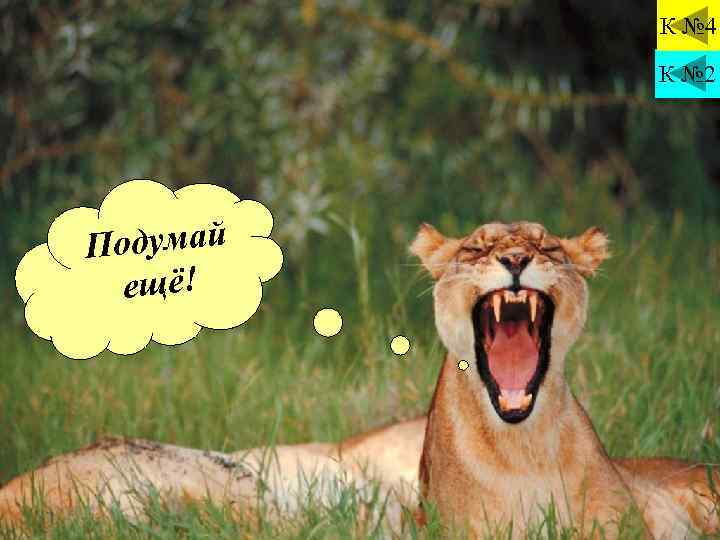 К № 4 К № 2 Подумай ещё! 