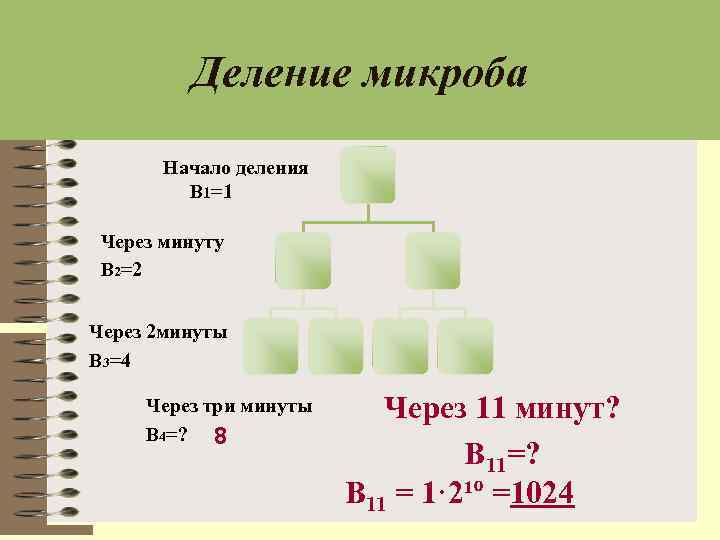 Деление микроба Начало деления B 1=1 Через минуту В 2=2 Через 2 минуты В