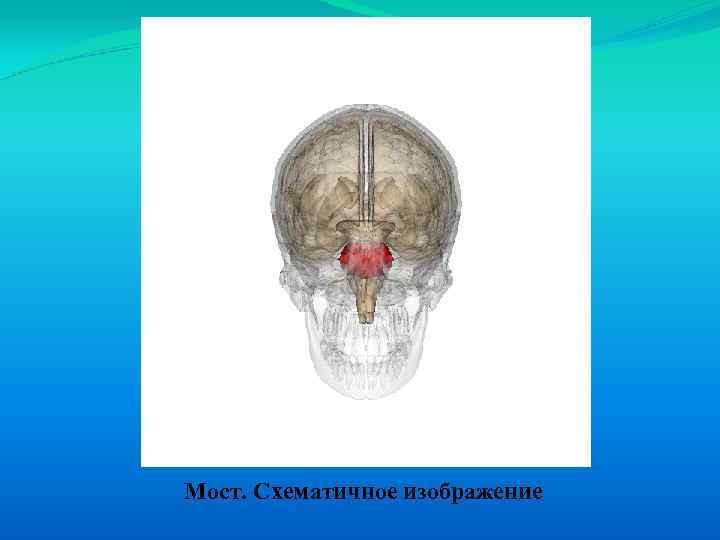 Мост. Схематичное изображение 