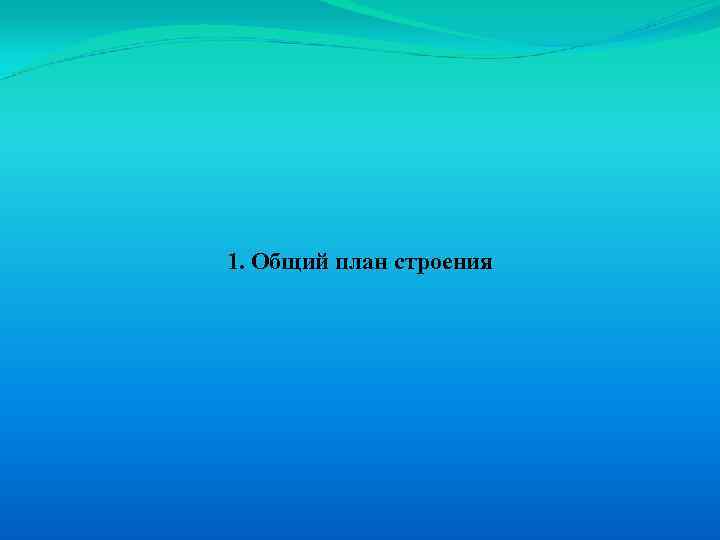 1. Общий план строения 