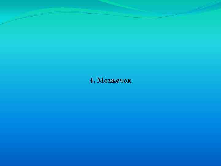 4. Мозжечок 