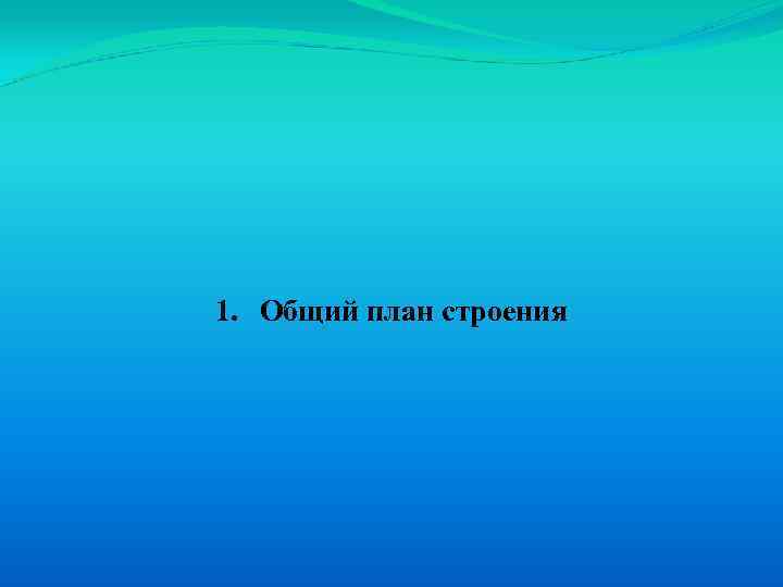1. Общий план строения 