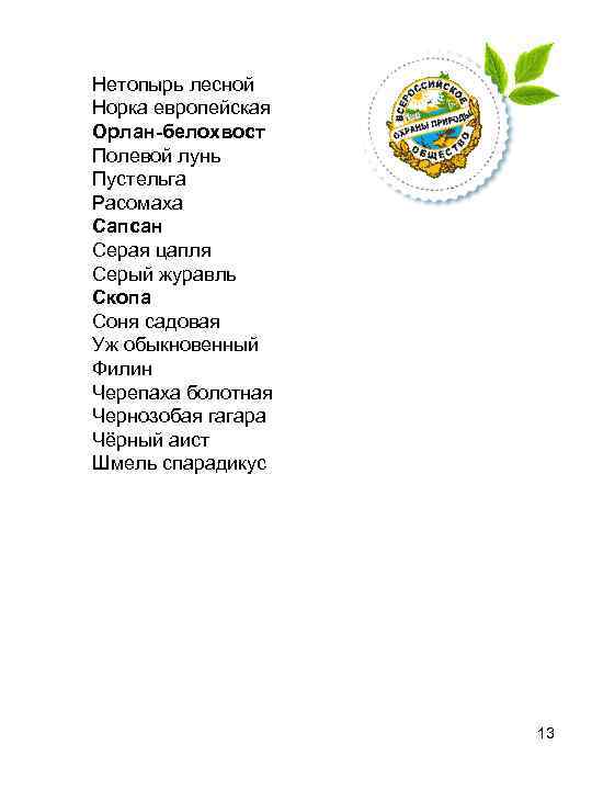 Нетопырь лесной Норка европейская Орлан-белохвост Полевой лунь Пустельга Расомаха Сапсан Серая цапля Серый журавль