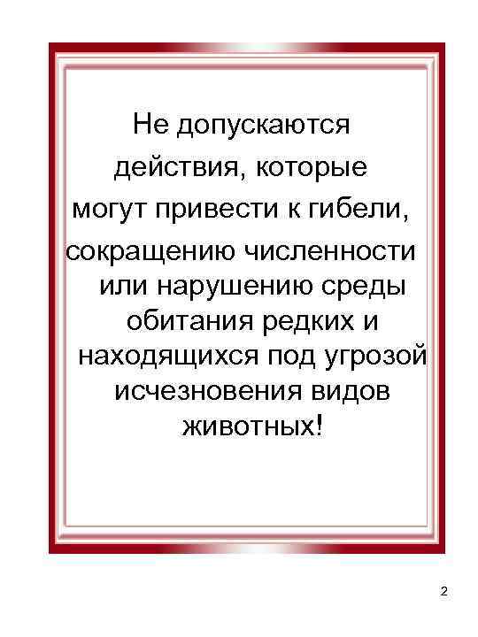 Не допускаются действия, которые могут привести к гибели, сокращению численности или нарушению среды обитания