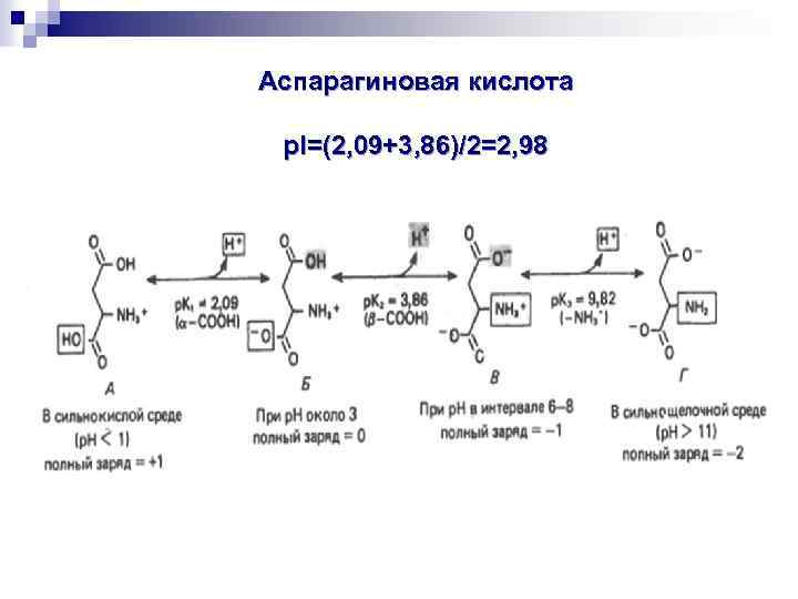 Аспарагиновая кислота р. I=(2, 09+3, 86)/2=2, 98 
