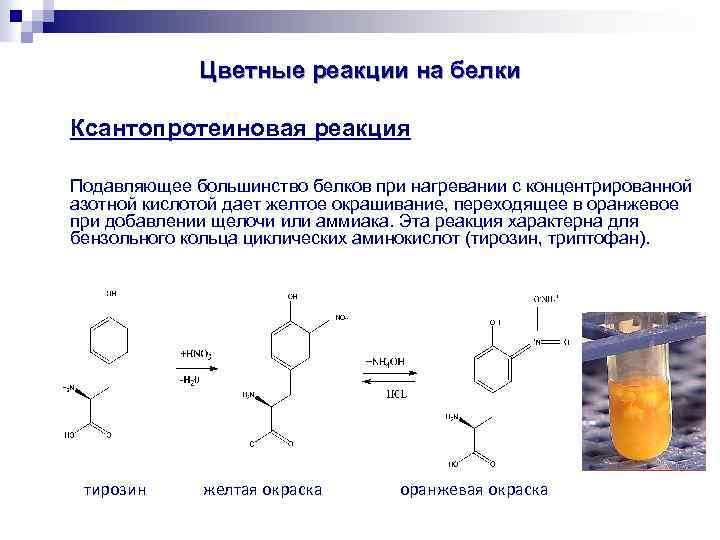 Химические реакции белка