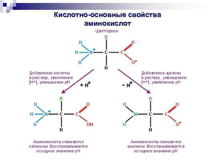 Основно кислотные свойства. Кислотно-основное свойство аминокислот. Кислотно-основные свойства аминокислот биохимия. Кислотно-основные свойства α-аминокислот. Химические свойства аминокислот кислотно-основные свойства.