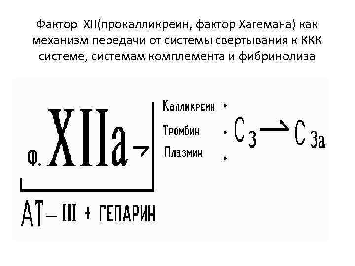 Фактор 12. Активированный фактор Хагемана. Активатор фактора Хагемана. Фактора XII. Активация фактора Хагемана.