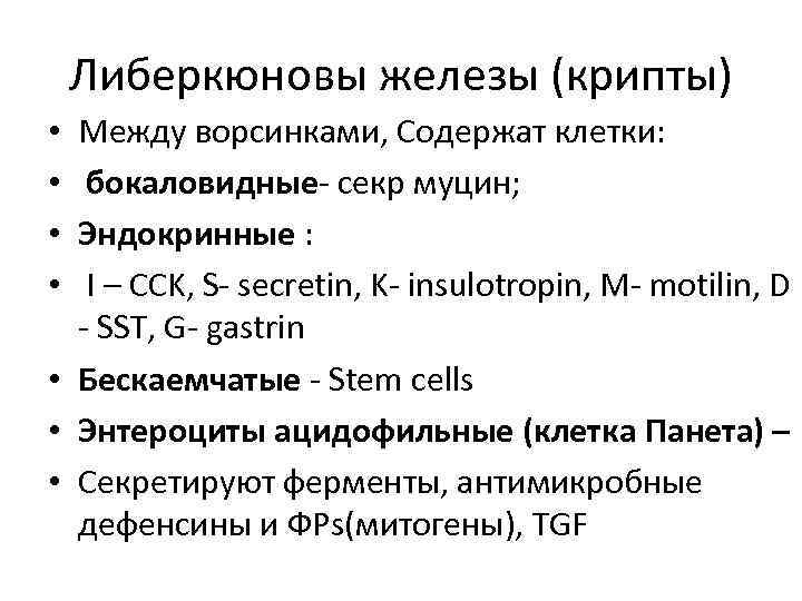 Либеркюновы железы (крипты) Между ворсинками, Содержат клетки: бокаловидные- секр муцин; Эндокринные : I –