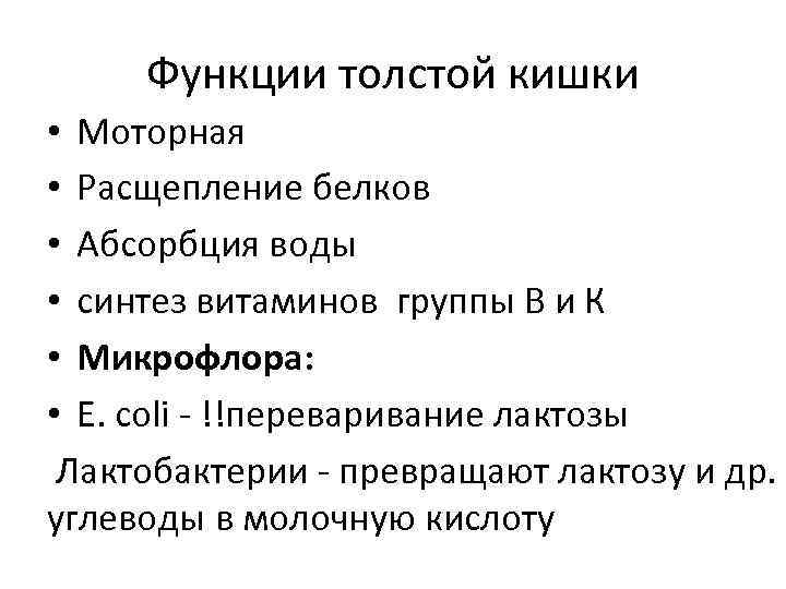 Функции толстой кишки • Моторная • Расщепление белков • Абсорбция воды • синтез витаминов